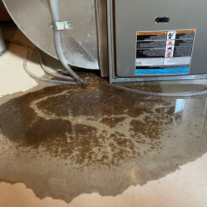 Pipe Burst and Leak Restoration in Nicholas County, KY