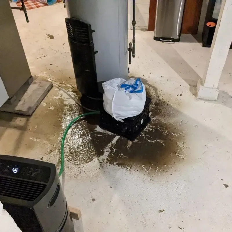 Sewage Backup Cleanup Service in Nicholas County, KY
